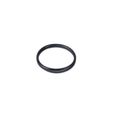 O-ring 22,23x2,62 (cupola testa) Maxter MXO MXS MXS2