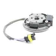 Encendido completo Rok - Junior Rok - RokGP - Super Vortex Rok