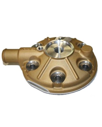 Testa Vortex RokGP - Super Rok