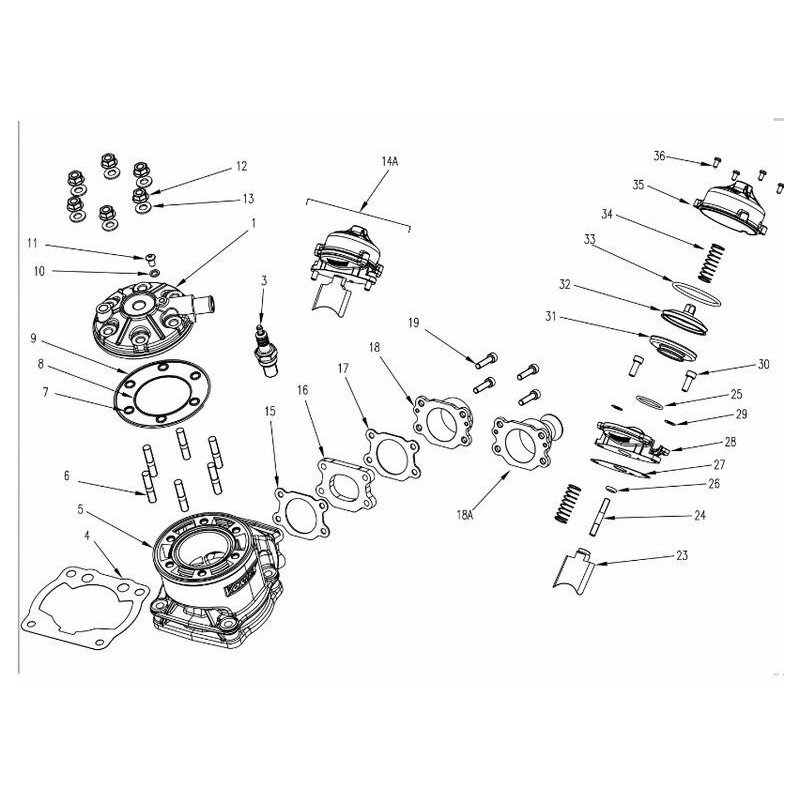 4A Oring 5,70x1,78 Auslassventil Vortex RokGP - DDS - DDJ