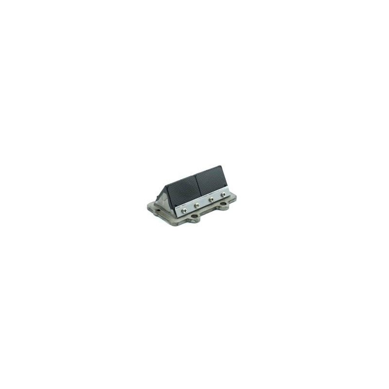 Valve a Clapets complete Vortex RokGP - SuperRok, MONDOKART