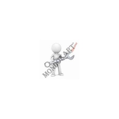 Revisione SOPRA (tutti) SI CON lappatura, MONDOKART, kart, go