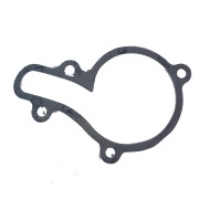 Guarnizione coperchio pompa acqua TM KF, MONDOKART, kart, go