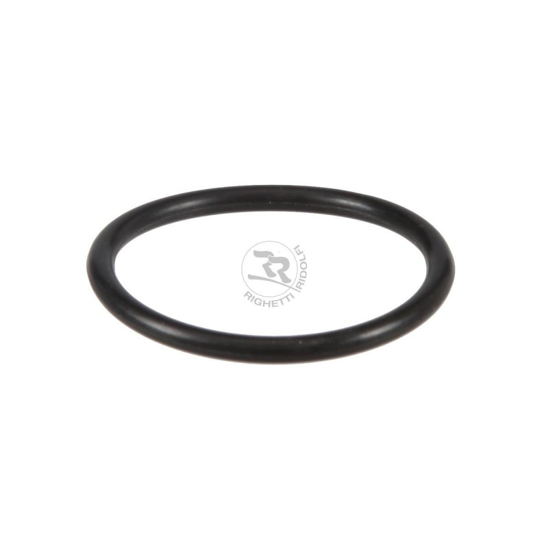Torica Bomba Agua RR 44,12 x 2,62 Righetti, MONDOKART, kart, go
