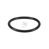 Torica Bomba Agua RR 44,12 x 2,62 Righetti, MONDOKART, kart, go
