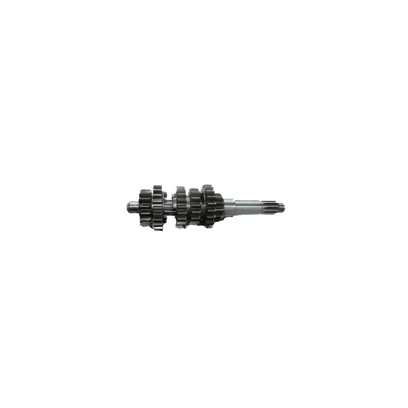 Complete Primary shaft TM (last update), mondokart, kart, kart