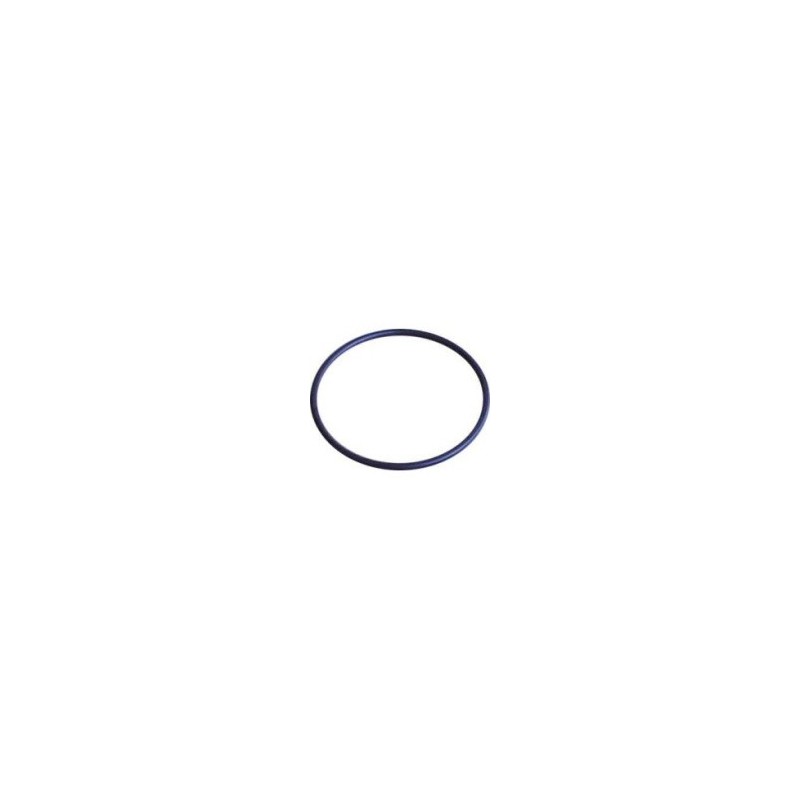Kit Oring 10 (elastic rubber ring) for mounting filters