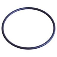 Oring Kit 10 (anillo de goma elástico) para los filtros de