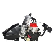 Motor Rotax Mini Max EVO, MONDOKART, kart, go kart, karting