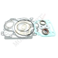 Kit gaskets and Orings Rotax, mondokart, kart, kart store