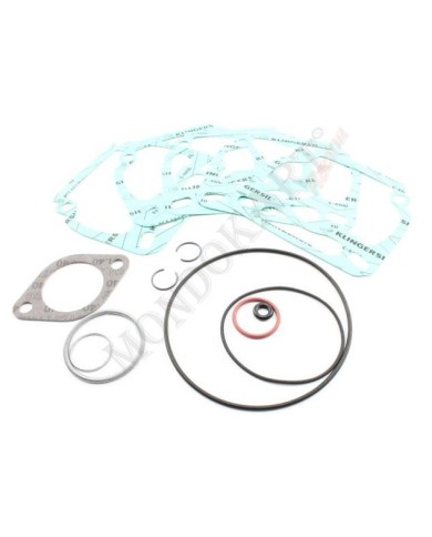 Kit O-Ring-Dichtungen und Zylinder Rotax