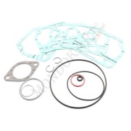 Kit guarnizioni e oring cilindro Rotax, MONDOKART, kart, go
