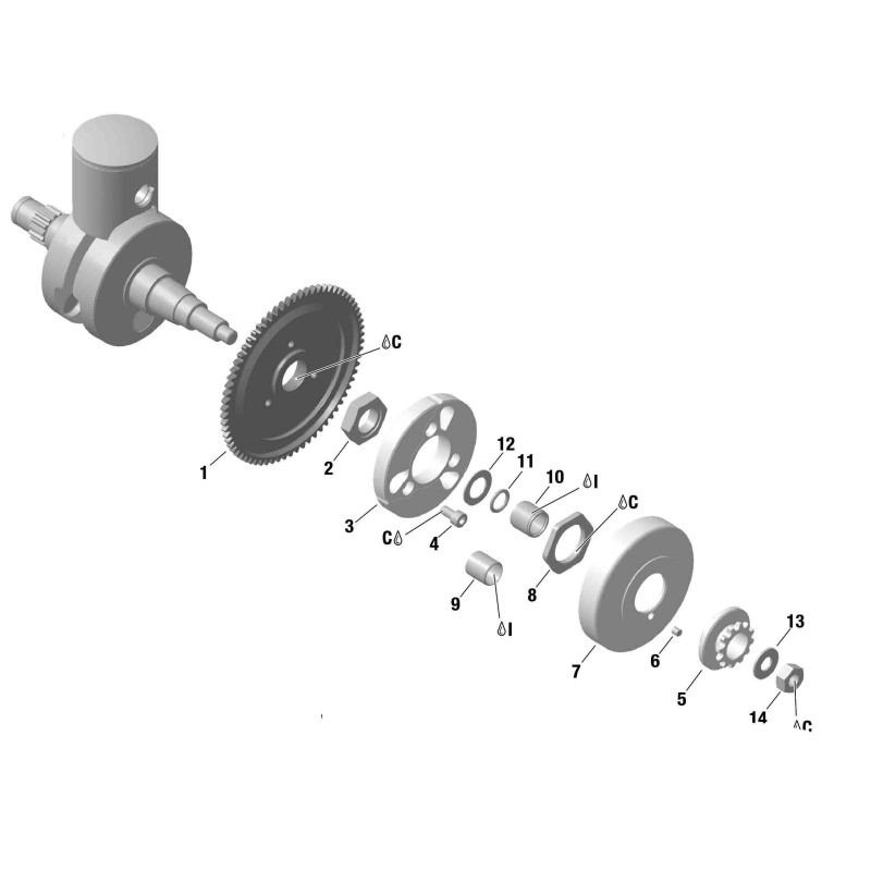 Rollenkäfig 15x19x17 Kettenrad Rotax EVO Ursprüngliche