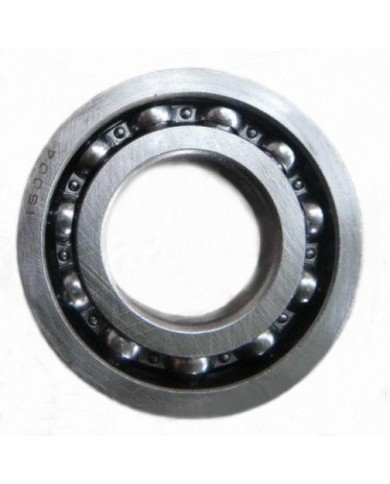 Bearing 16004 C3