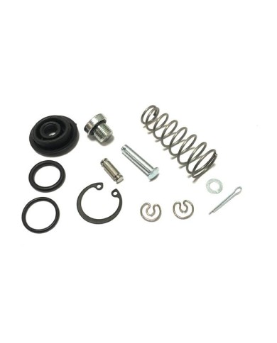 Brake pump overhaul Kit Birel 19 / B