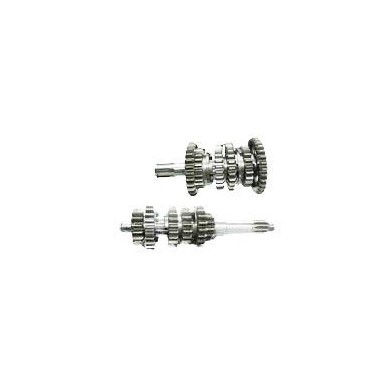 Cambio Completo TRATTATO RACING TM, MONDOKART, kart, go kart