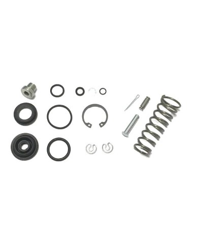 Brake Pump Rebuild Kit 22sr (pump with recovery) BirelArt