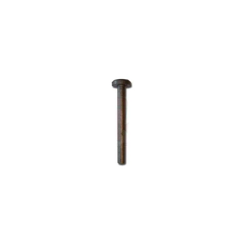 Clutch Dipstick fungus Iame Screamer (1-2) KZ, mondokart, kart