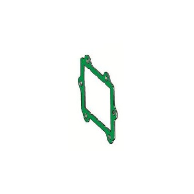 Gasket Reeds Maxter MXS MXS2, mondokart, kart, kart store
