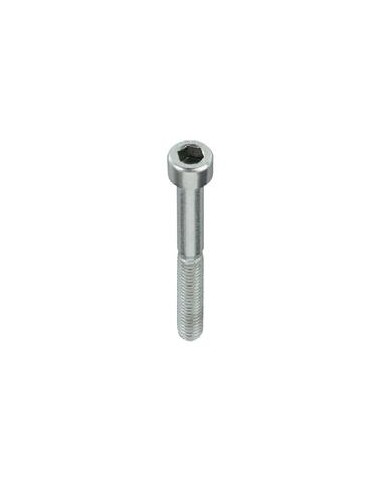 Screw M5 x 80 Rear Pad V05 V11 CRG