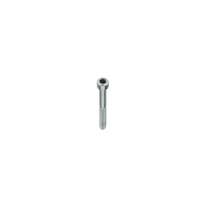 Tornillo M5 x 80 Pastilla Freno Trasera V05 V11 CRG, MONDOKART