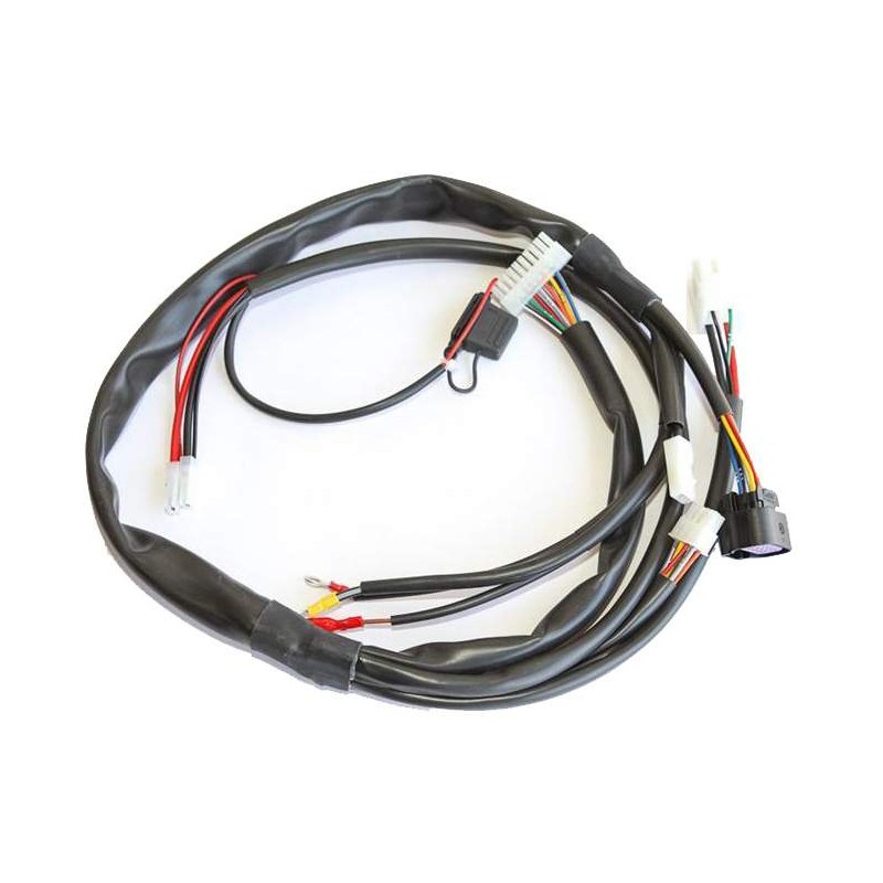 Faisceau Electrique Câblage complet IAME X30 (jasqu'e 2015)