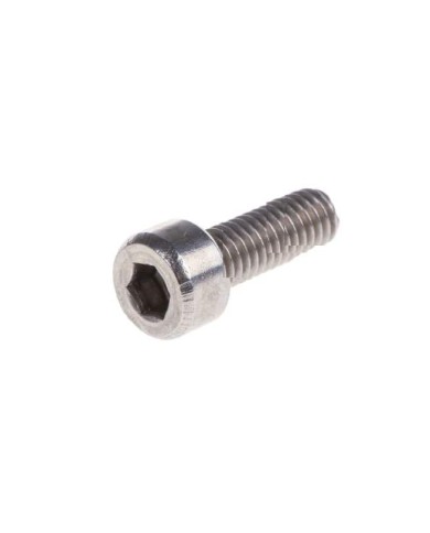 Screw Allan Head M4x12 mm