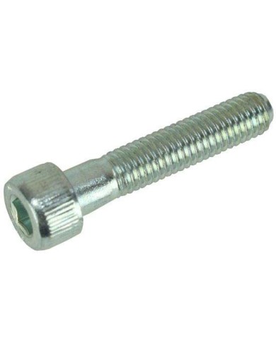 Cilíndrica Tornillo M8x40 mm