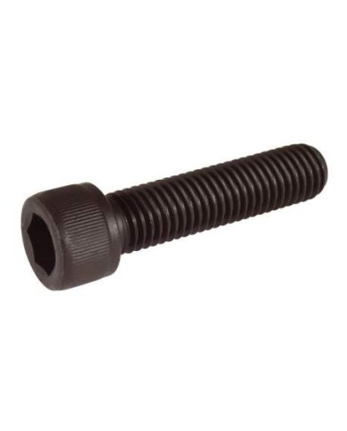 Tornillo Cilindrica M10x40 - Brida Bancada Motor