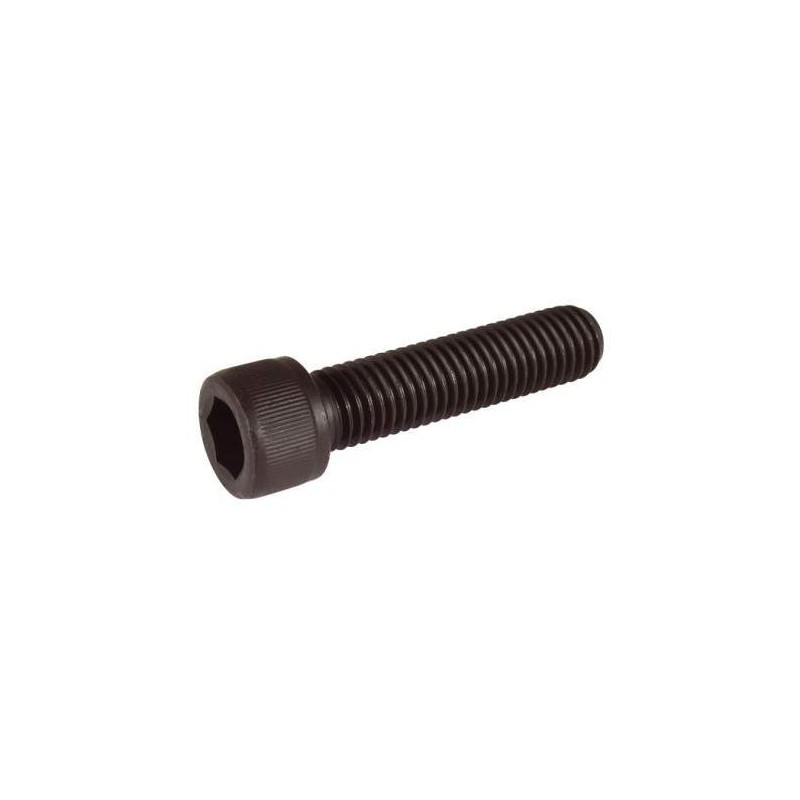 Vite Testa Cilindrica M10x40 - Cavallotto motore, MONDOKART