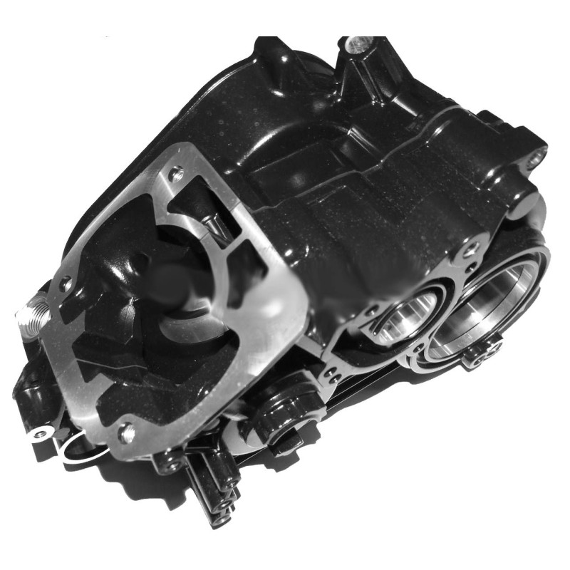 Complete Crankcase Rotax DD2, mondokart, kart, kart store