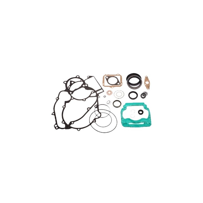 Kit Guarnizioni Completo Rotax DD2, MONDOKART, kart, go kart