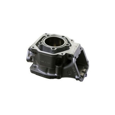 Cilindro Modello 3D Rotax DD2, MONDOKART, kart, go kart