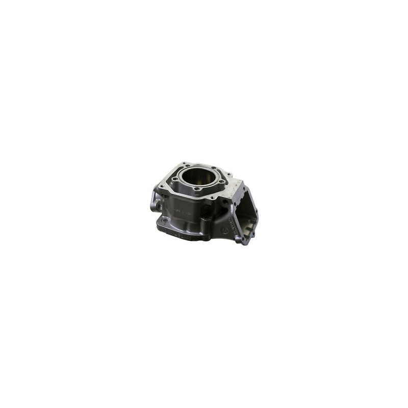 Complete cylinder Rotax DD2 3D, mondokart, kart, kart store