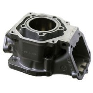 Cilindro Modello 3D Rotax DD2, MONDOKART, kart, go kart