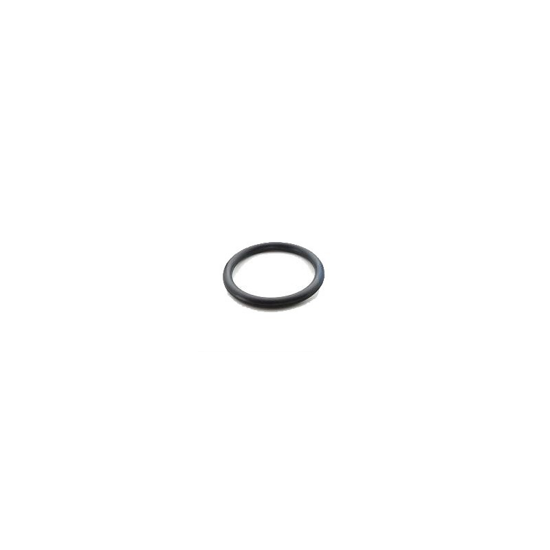 Oring frizione 12x2,5 DIN 2771 Rotax, MONDOKART, kart, go kart