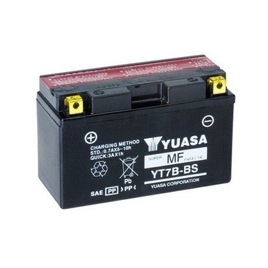 Batterie Standard Rotax DD2 Evo, MONDOKART, kart, go kart