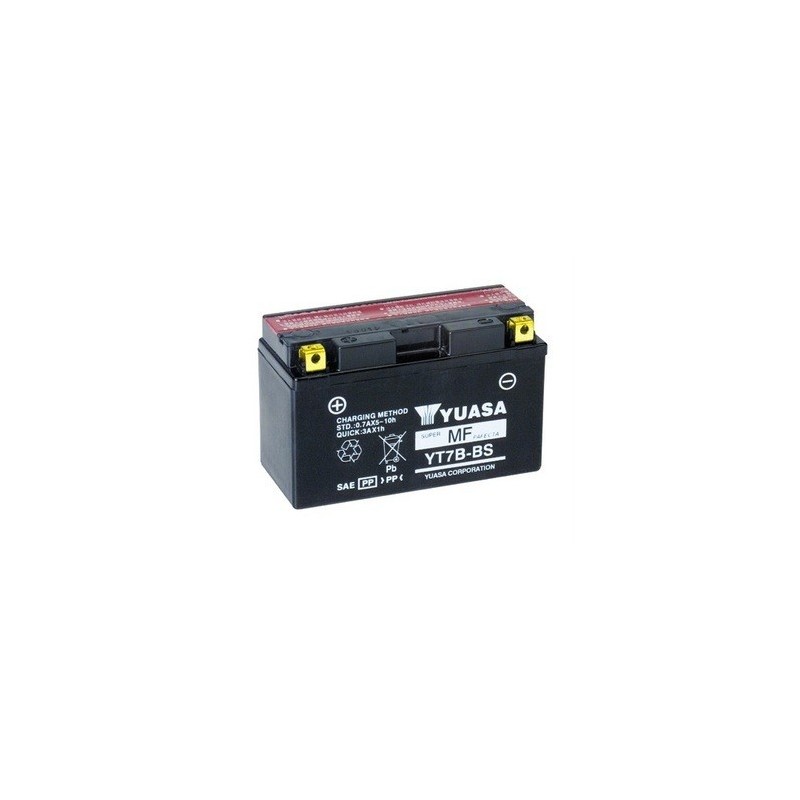Batterie Standard Rotax DD2 Evo, MONDOKART, kart, go kart