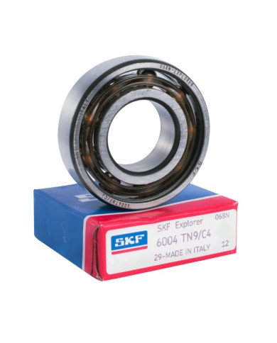 Bearing SKF 6004 TN9 Iame