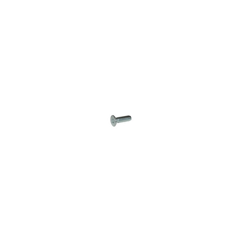 Vite TPSCEI testa svasata 3x12 pinza anteriore SA3 OTK
