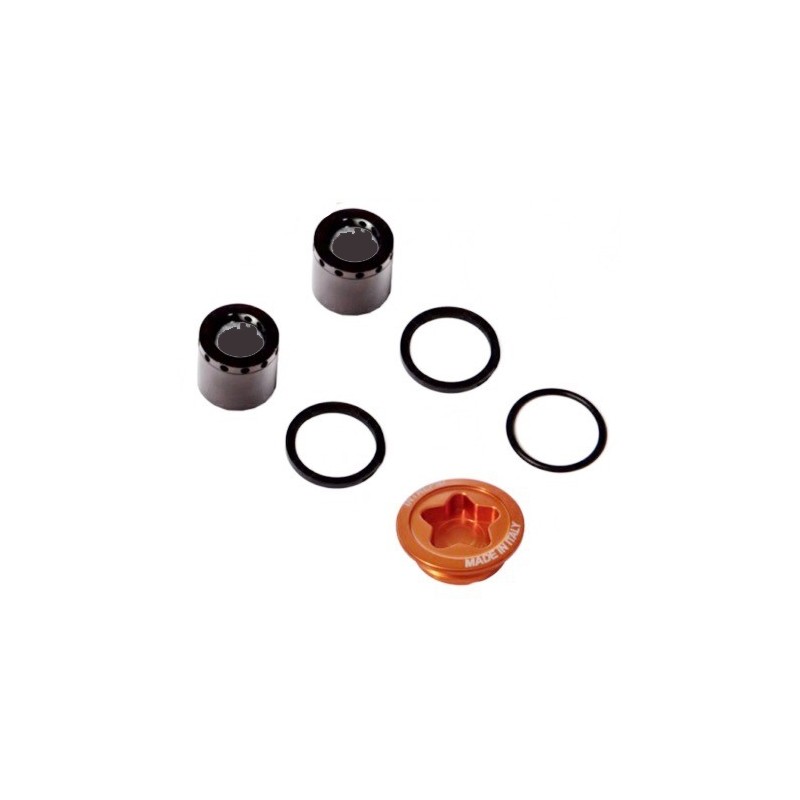 Kit Revisione pinza posteriore Intrepid R1/R2, MONDOKART, kart
