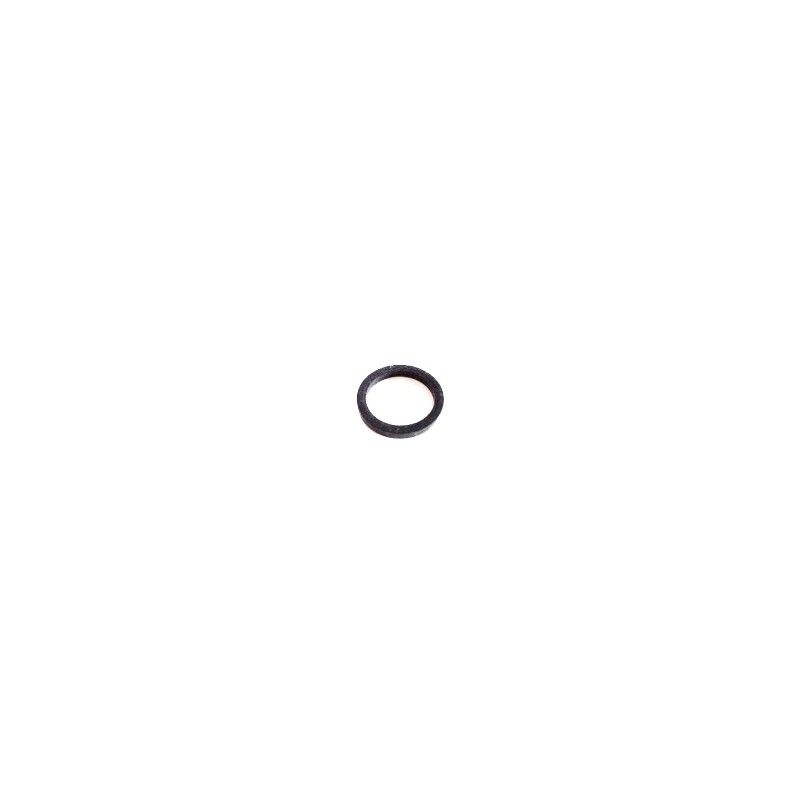Oring CARRE' 19mm Etrier Frein Avant IPK - Praga - Formula K -