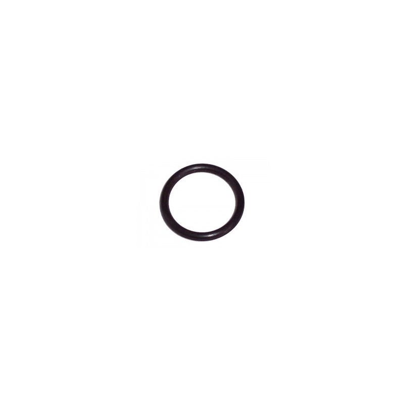 Oring RONDE 19mm Etrier Frein Avant IPK - Praga - Formula K -