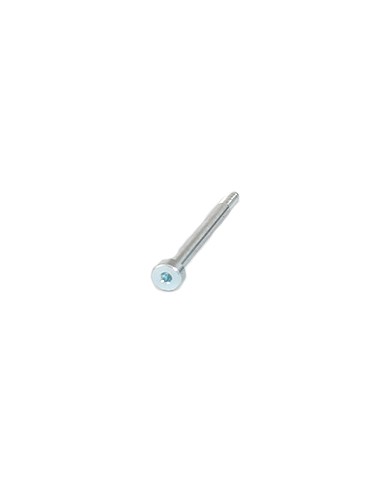 Tornillo Pinza Freno Posterior IPK - Praga - Formula K - OK1 - RBS V2 V3