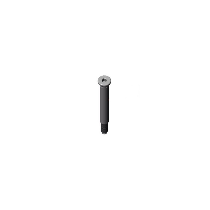 Spindle Screw CONICAL M10 IPK - Formula K - Praga - Intrepid