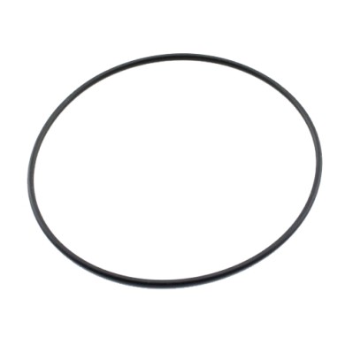 Oring esterno testa cilindro Pavesi (nero) Exhagonal