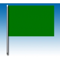 Grüne Flagge