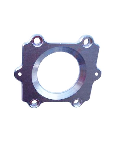 Plate for milled reed valve TM