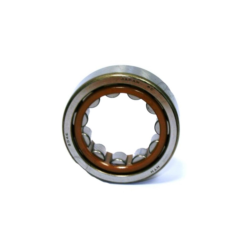 Cuscinetti a rulli NJ 204ET2X BC1 3022 Pignone TM, MONDOKART