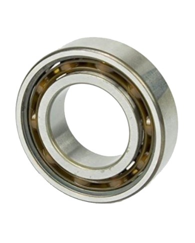 Bearing 6005 SKF TN9 C3 (Polyamide)